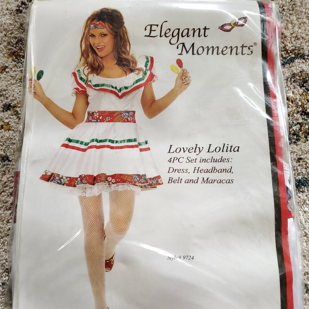 Lovely Lolita Costume